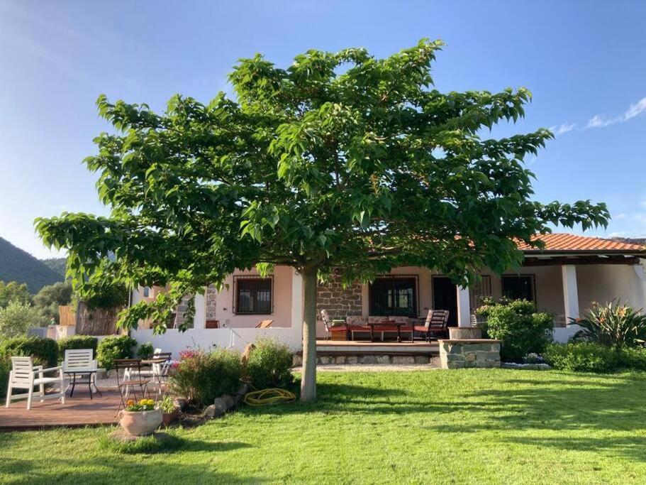 Countryside Villa In Sardinia Triei Eksteriør billede