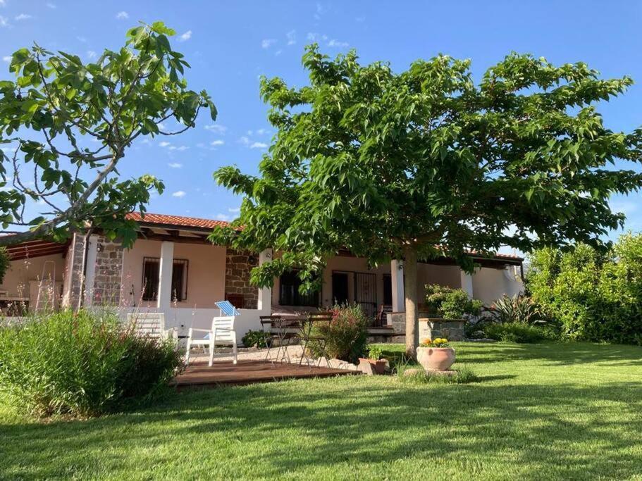 Countryside Villa In Sardinia Triei Eksteriør billede